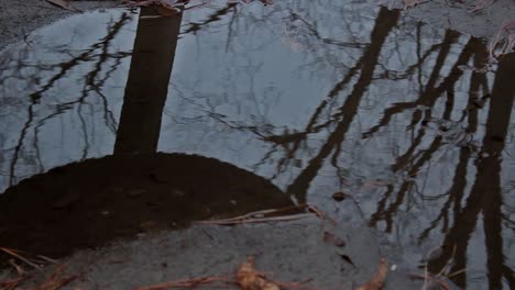 Bleak-Abandoned-Park-Tire-Swing-(Reflection)