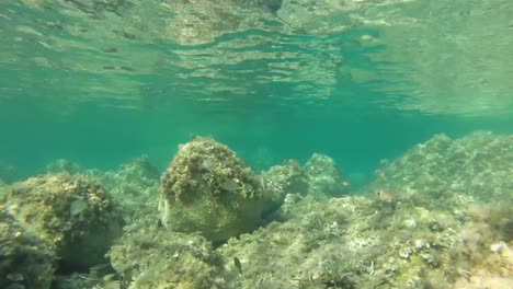 Underwater-View-of-the-Sea