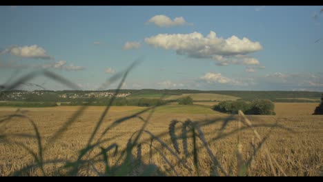 Felder-Und-Stadt