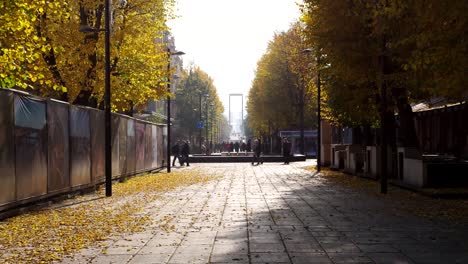 Libertad-Avenida-Timelapse