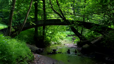 Adomas-Mickevicius-Valley