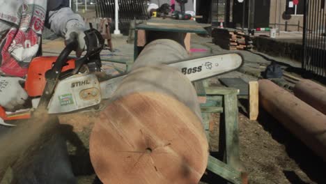 Chainsaw-Cutting-Log