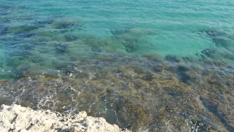 Turquoise-Shoreline-and-Reef