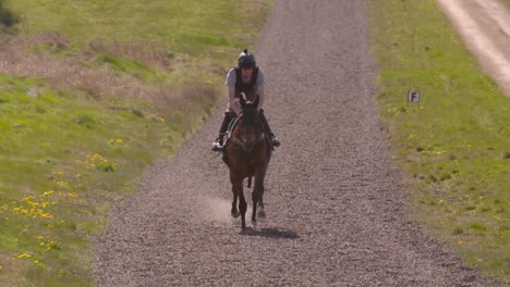 Racehorse-Galloping-Slow-Motion