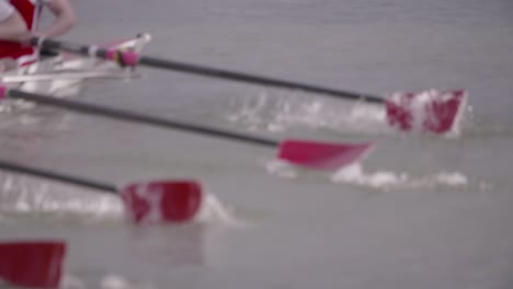 Rowing-Team-Oars-Close-Up-1