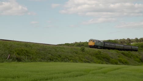 Dieselzug-Und-Wagen