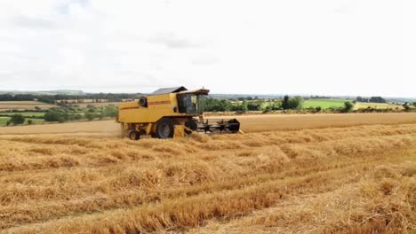 Cosechadora-en-el-campo-de-cebada