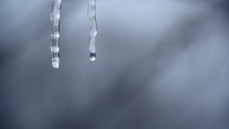 Icicles-Melting-Slow-Motion