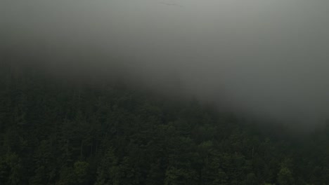 Montaña-Fog-Time-Lapse