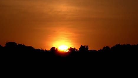 Sunrise-TImelapse-Over-Trees