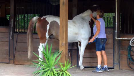 Woman-Brushing-a-Horse