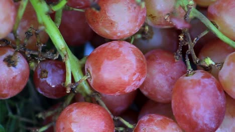 Macro-de-uvas-rojas