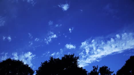 Sky-Over-Trees-Timelapse