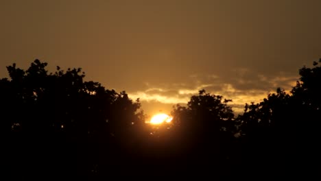 Sonnenuntergang-Hinter-Bäumen