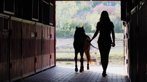 Una-chica-liderando-un-pony