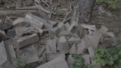 Wood-Debris-on-Pile