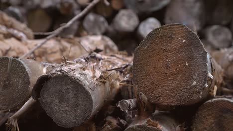 Holzstapel-Nahschuss-Handheld