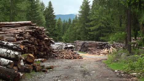 Holzstapel-Weitschuss