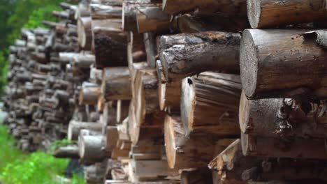 Woodpile-Pull-Focus