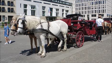Horse-drawn-Carriage