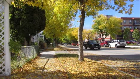 Street-in-the-Autumn