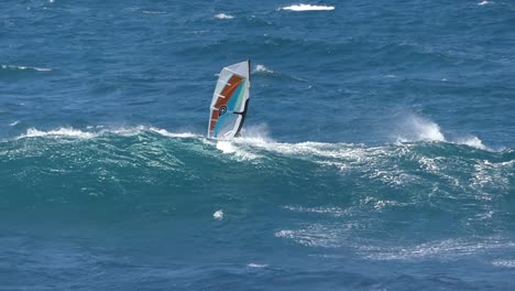 360-Flip-Auf-Segelbrett-Maui-Hawaii