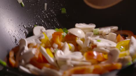 Stir-Fry-Slow-Motion-3