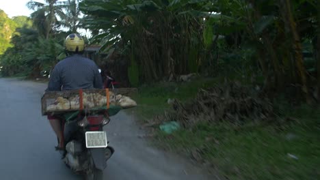 Mujer-vietnamita-en-scooter