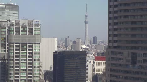 Tokyo-Skytree-Between-Buildings