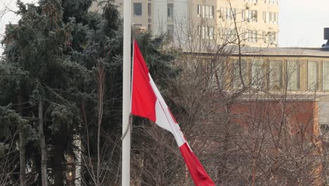 Bandera-canadiense-ondeando-en-el-viento