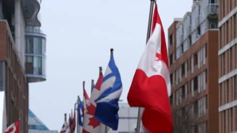 Bandera-canadiense