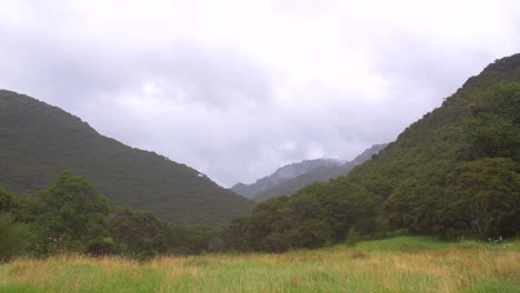 Nueva-Zelanda-Green-Rolling-Hills