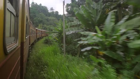 Sri-lankischer-Zug-Durch-Den-Dschungel