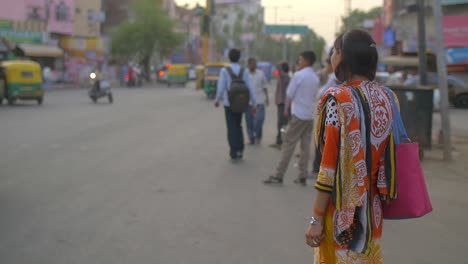 Traditionally-Dressed-Indian-Lady-Stood-on-Roadside