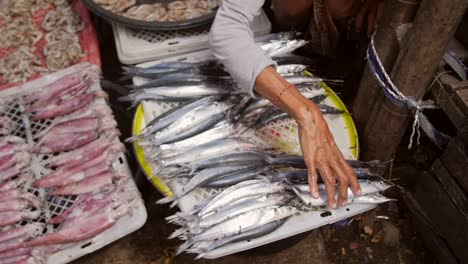 Frau-Arrangiert-Fisch-An-Einem-Marktstand