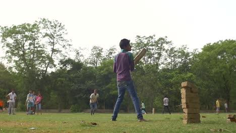 Cricketspiel-In-Einem-Indischen-Park