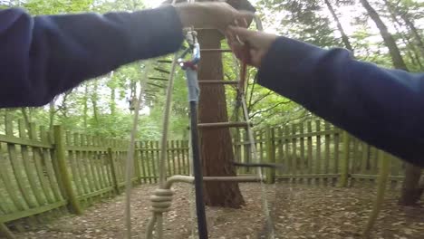 Climbing-Ladder-on-Obstacle-Course