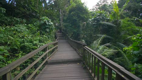 Moving-Along-a-Wooden-Jungle-Walkway