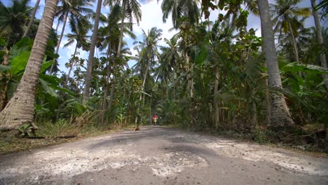 Motorcyclist-on-a-Jungle-Road