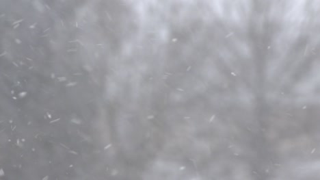Schnee-Fällt-In-Winterlicher-Szene