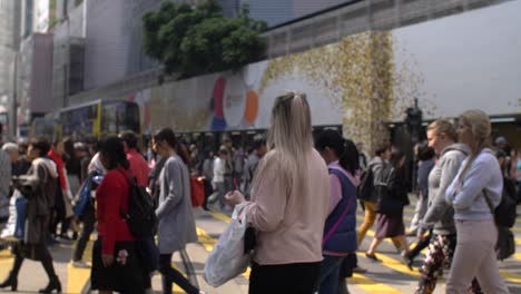 Tracking-Through-Crowd-Crossing-Road