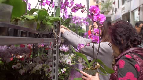 People-Choosing-Orchids-at-a-Flor-Market