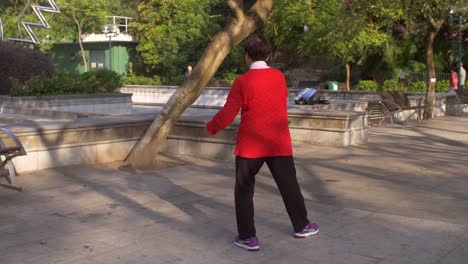 Dame,-Die-Tai-Chi-Im-Hong-Kong-Park-Durchführt