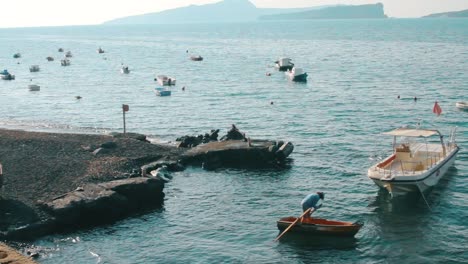 Man-in-Small-Rowing-Boat