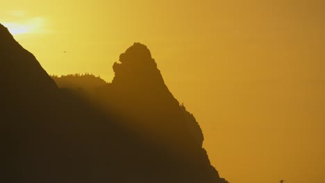 Vogelkolonie-Am-Klippenrand-Bei-Sonnenuntergang