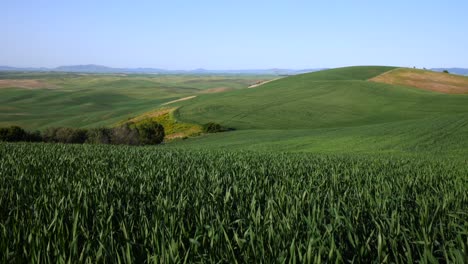 Rising-Over-Green-Hills