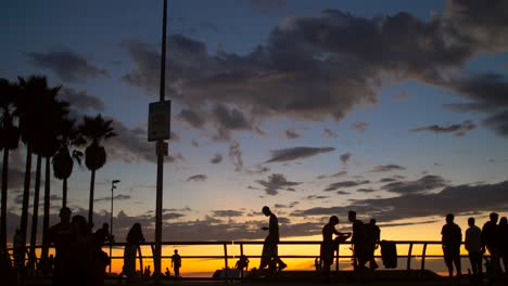 Silhouetted-Skateboarders-at-Venice-Beach