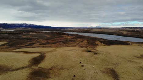 Luftaufnahme-Von-Wildpferden-An-Einem-Fluss
