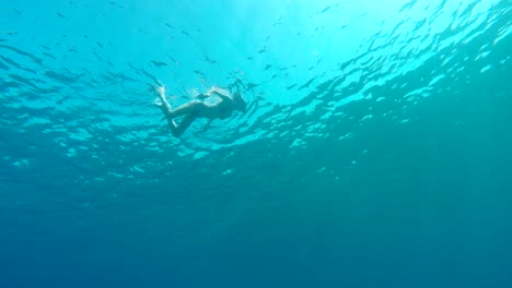 Open-Water-Swimming