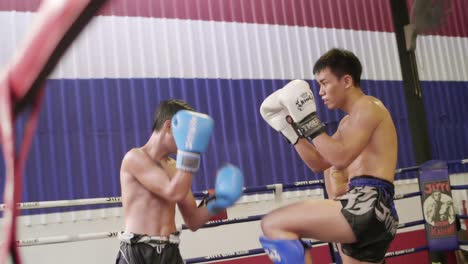 Combate-de-boxeadores-de-muay-thai
